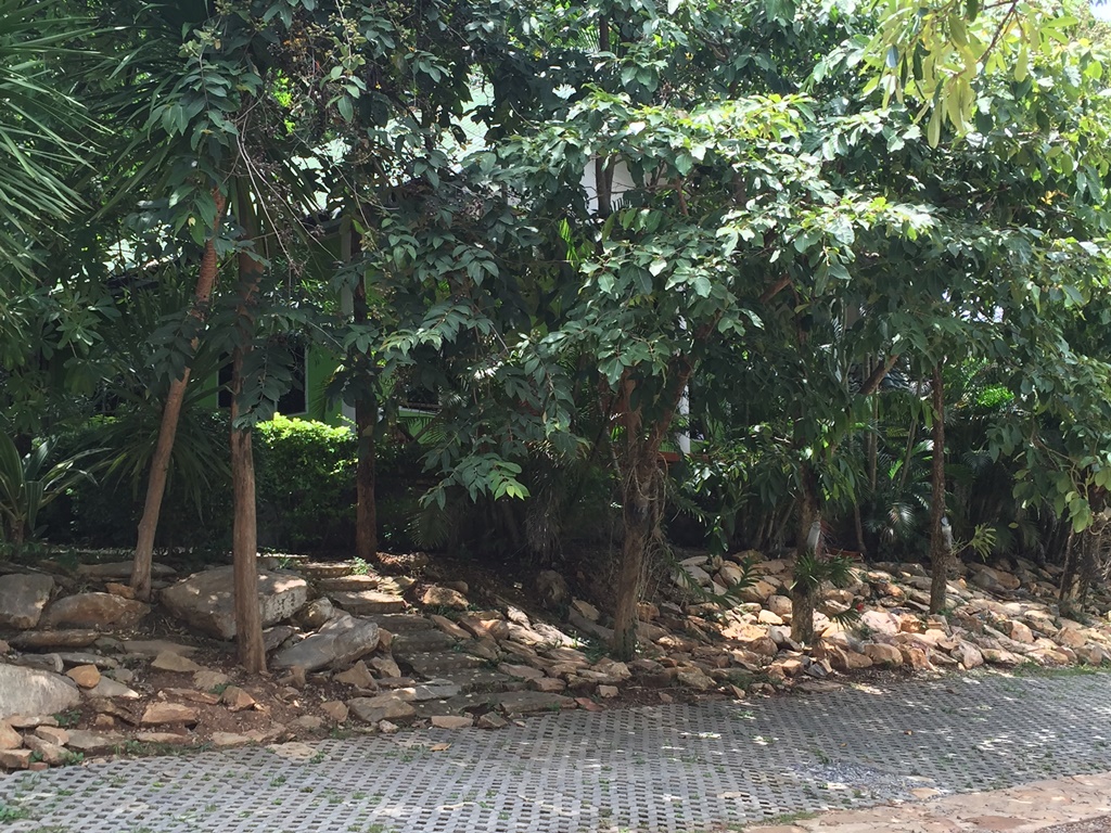 บรรยากาศโดยรอบ